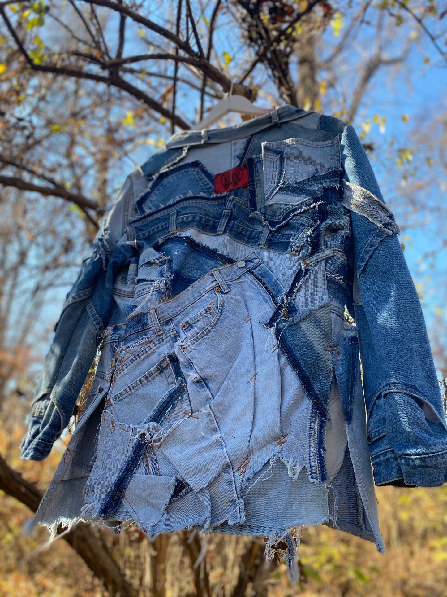 βπΌ πΏπΌπ ππ ππππππ½ππβ