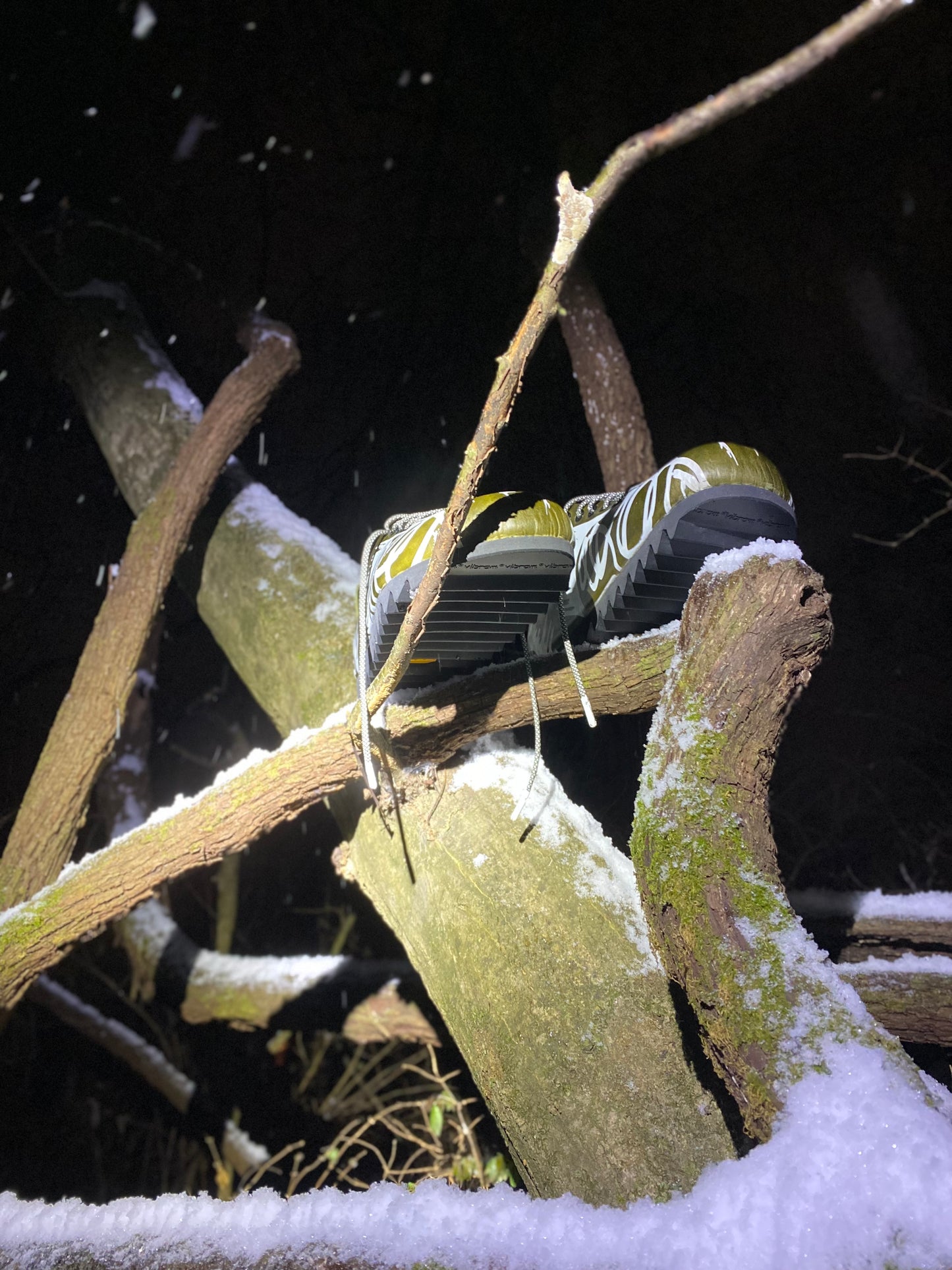 βππΌππππ π½ππΎπβ