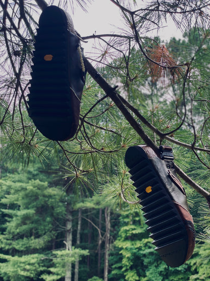 “𝙀𝙏É𝙍𝙉𝘼𝙇 𝙁𝙇À𝙈𝙀𝙎”